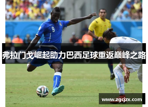 弗拉门戈崛起助力巴西足球重返巅峰之路