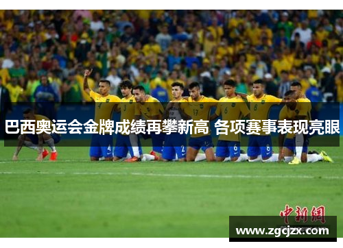 巴西奥运会金牌成绩再攀新高 各项赛事表现亮眼